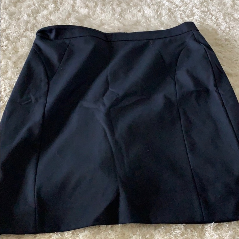 Ann Taylor skirt